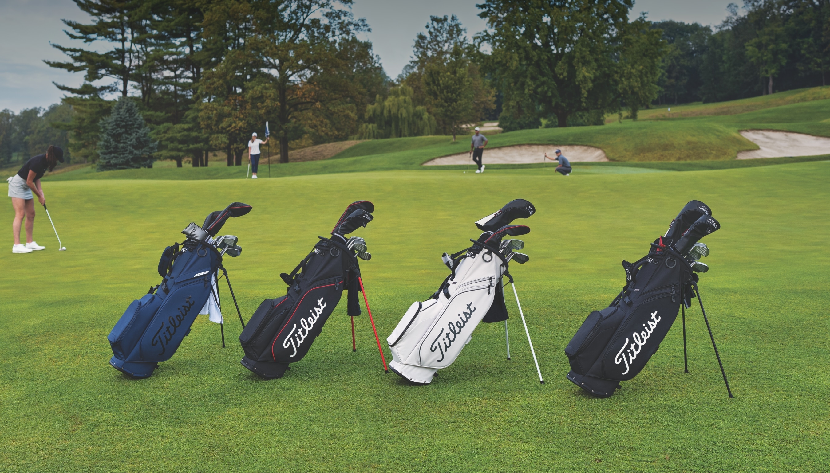 Golf Bag Selector