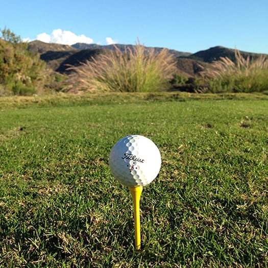 What brings us all together.  It&#39;s time to tee...