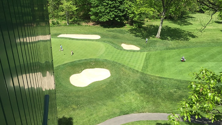 Here’s a great view from seven stories up of the...